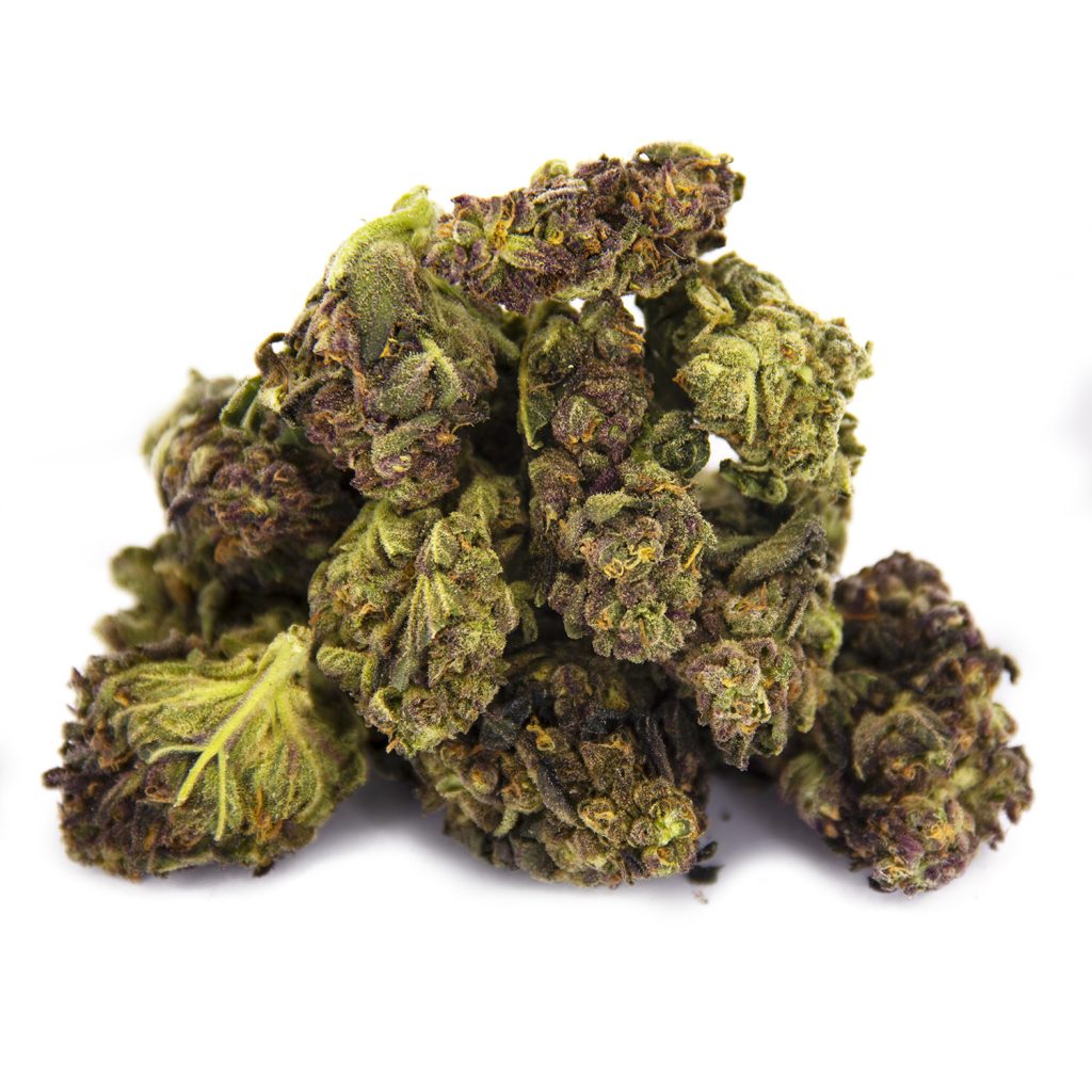 Rocket Chronic