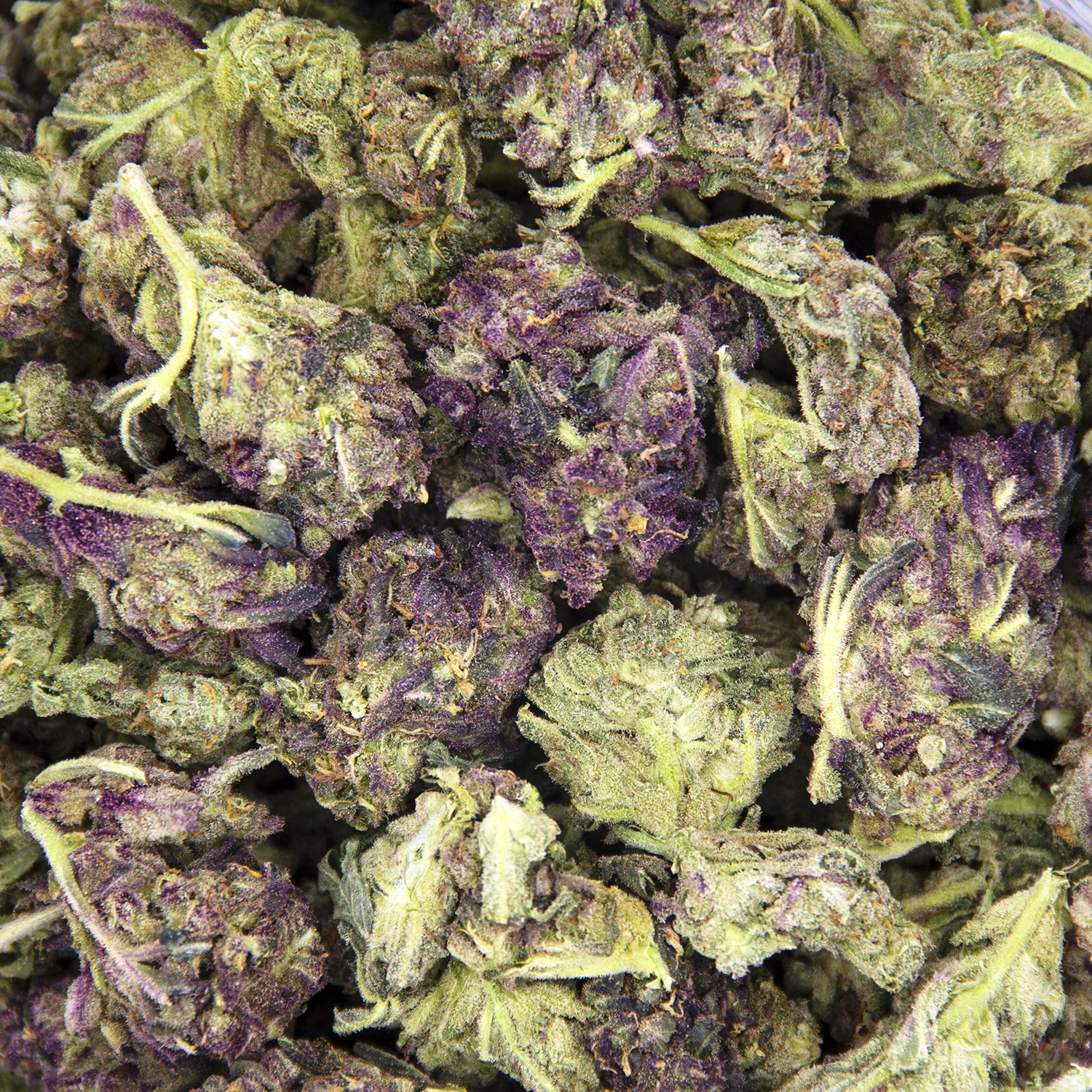 GMO AA - Image 3