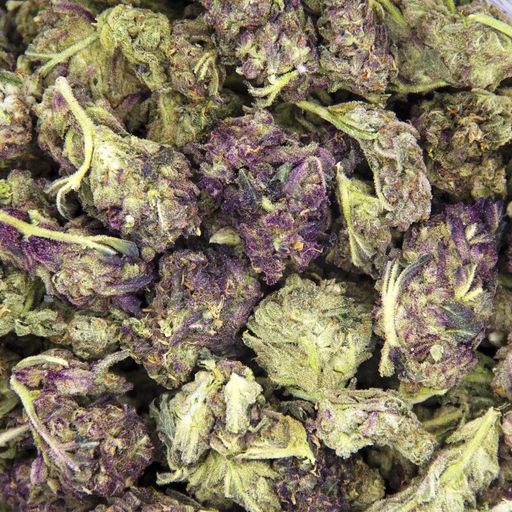 Rocket Chronic