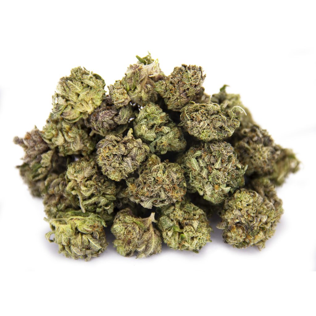 Rocket Chronic