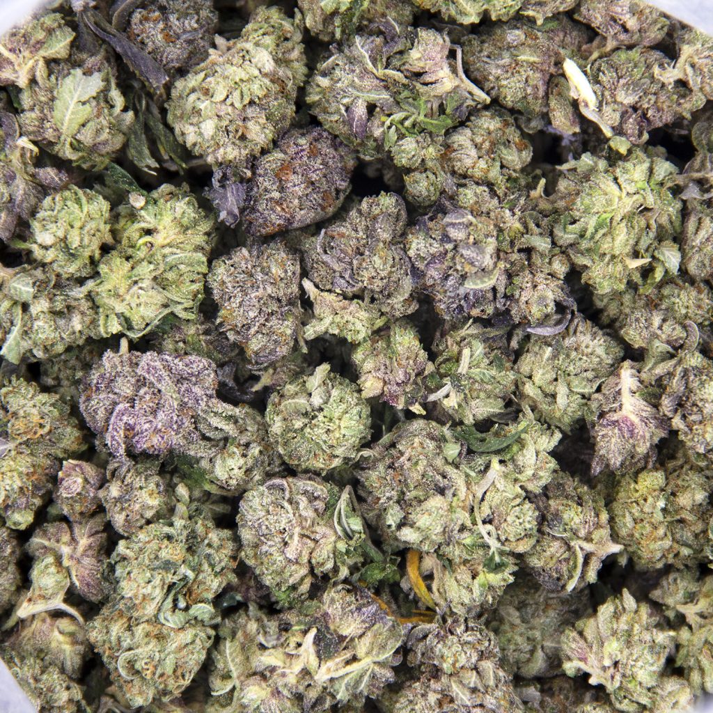 Rocket Chronic