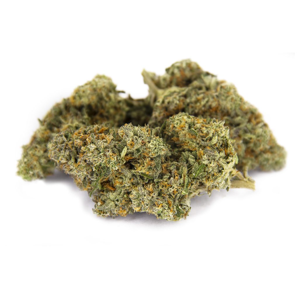 Rocket Chronic