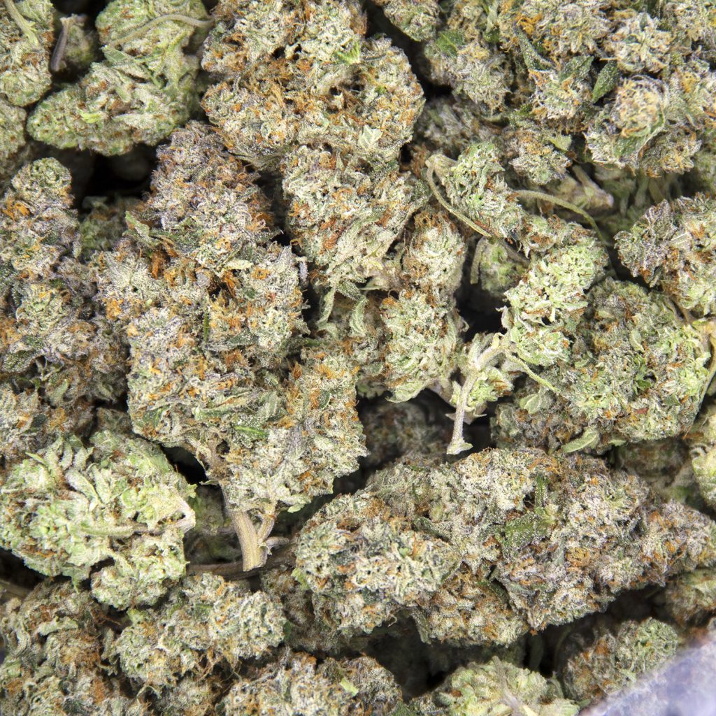 Rocket Chronic