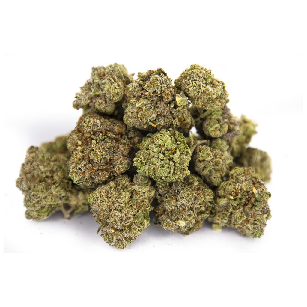 Rocket Chronic