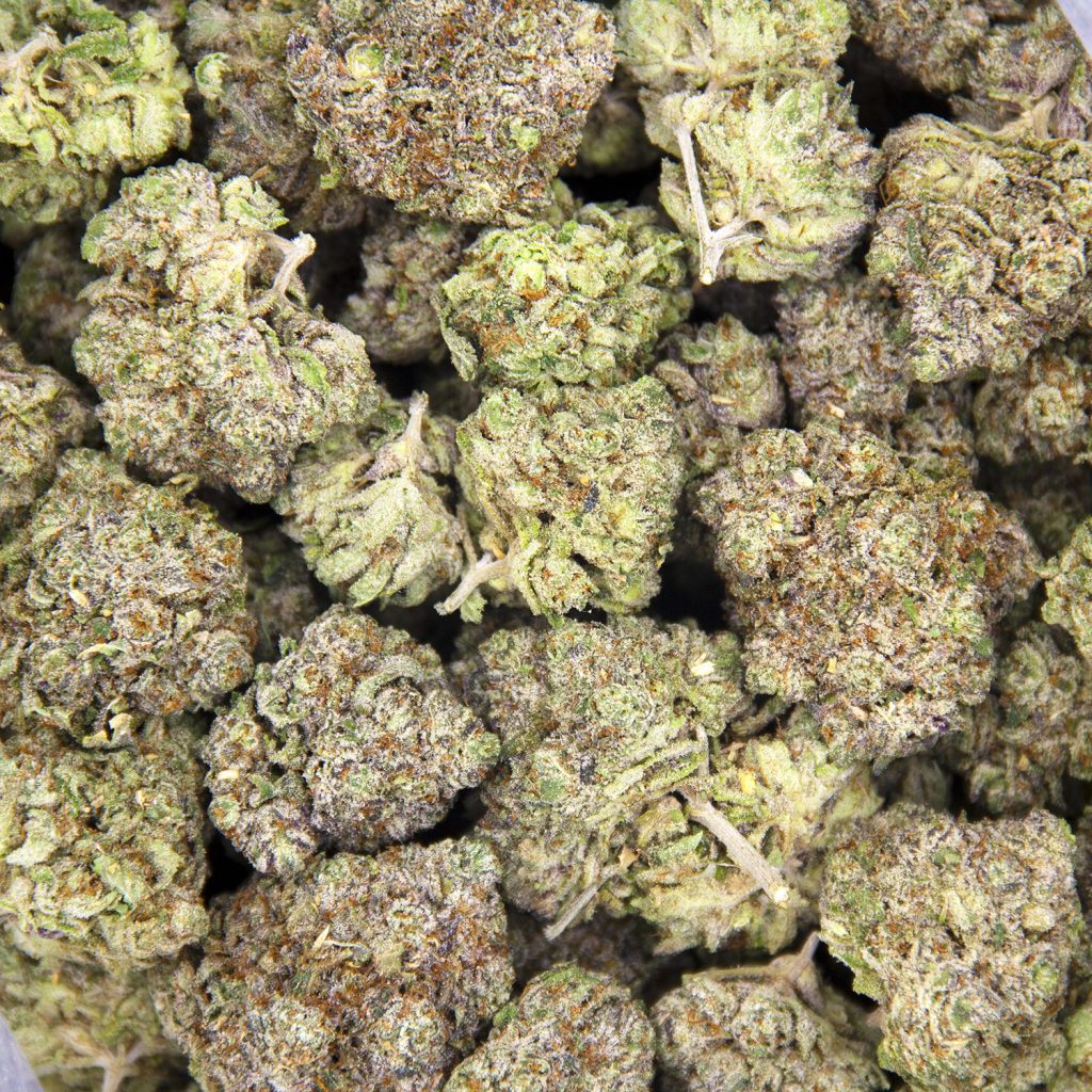 Rocket Chronic