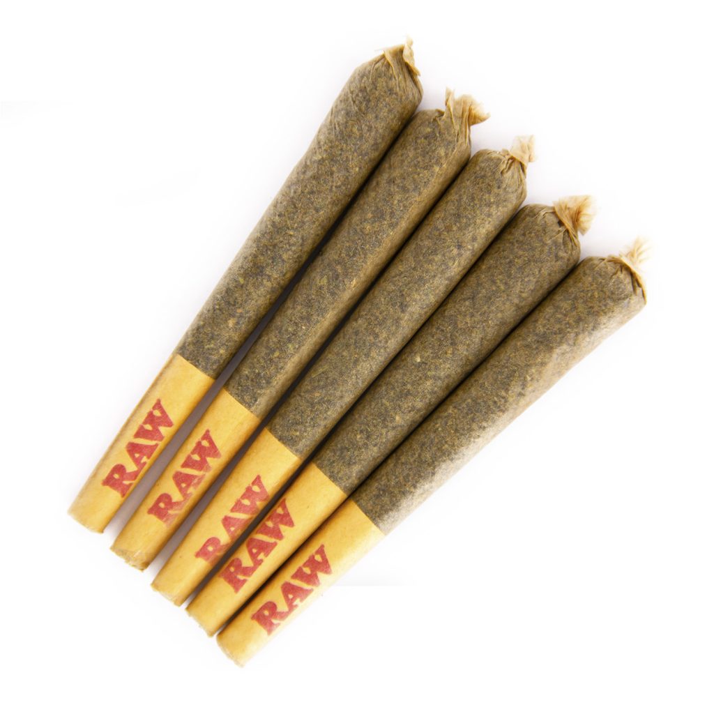 Rocket Chronic
