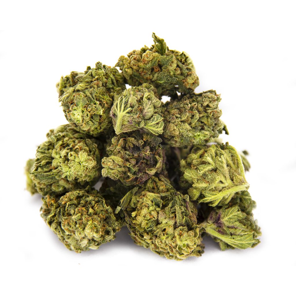 Rocket Chronic