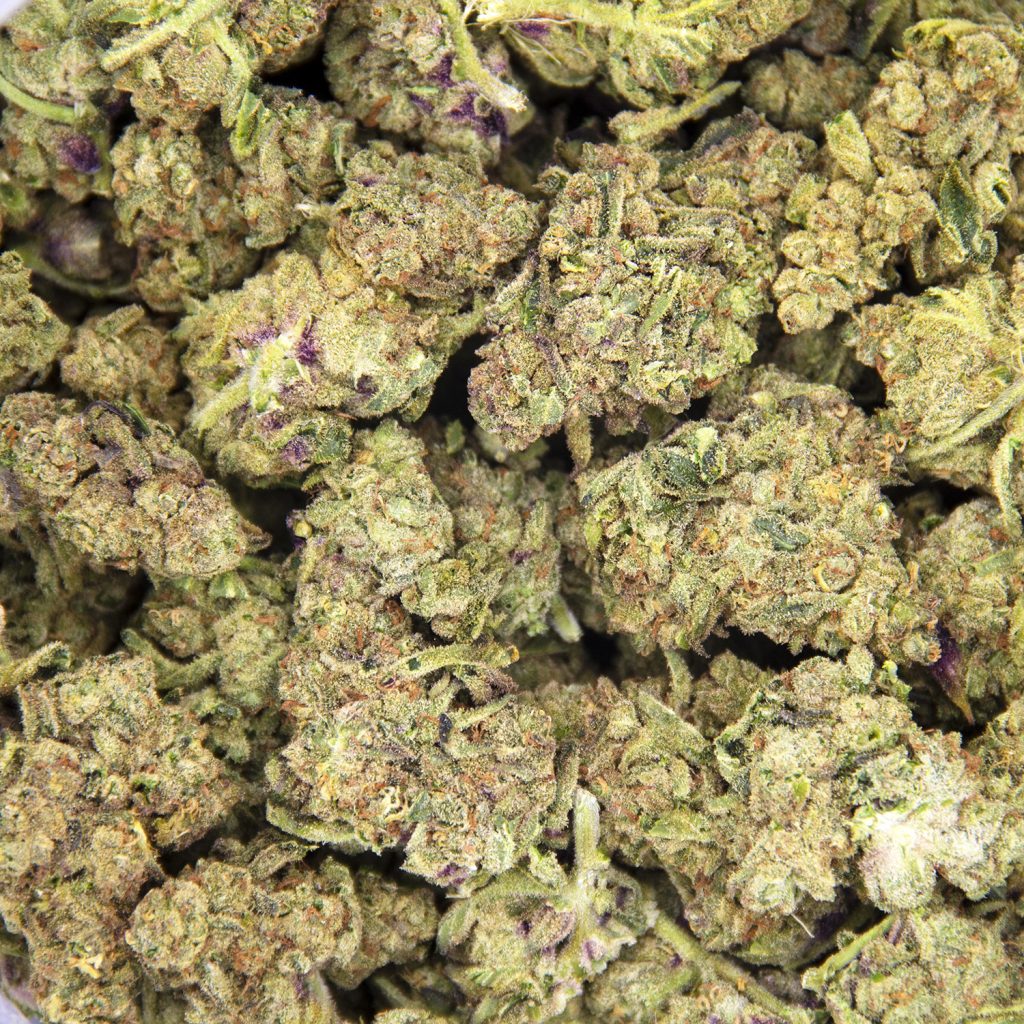 Rocket Chronic