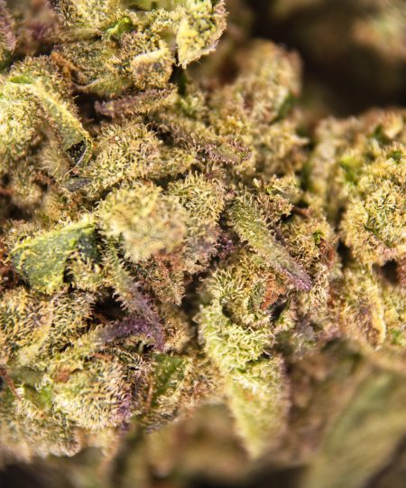 Alternative view of Lemon Zest AA