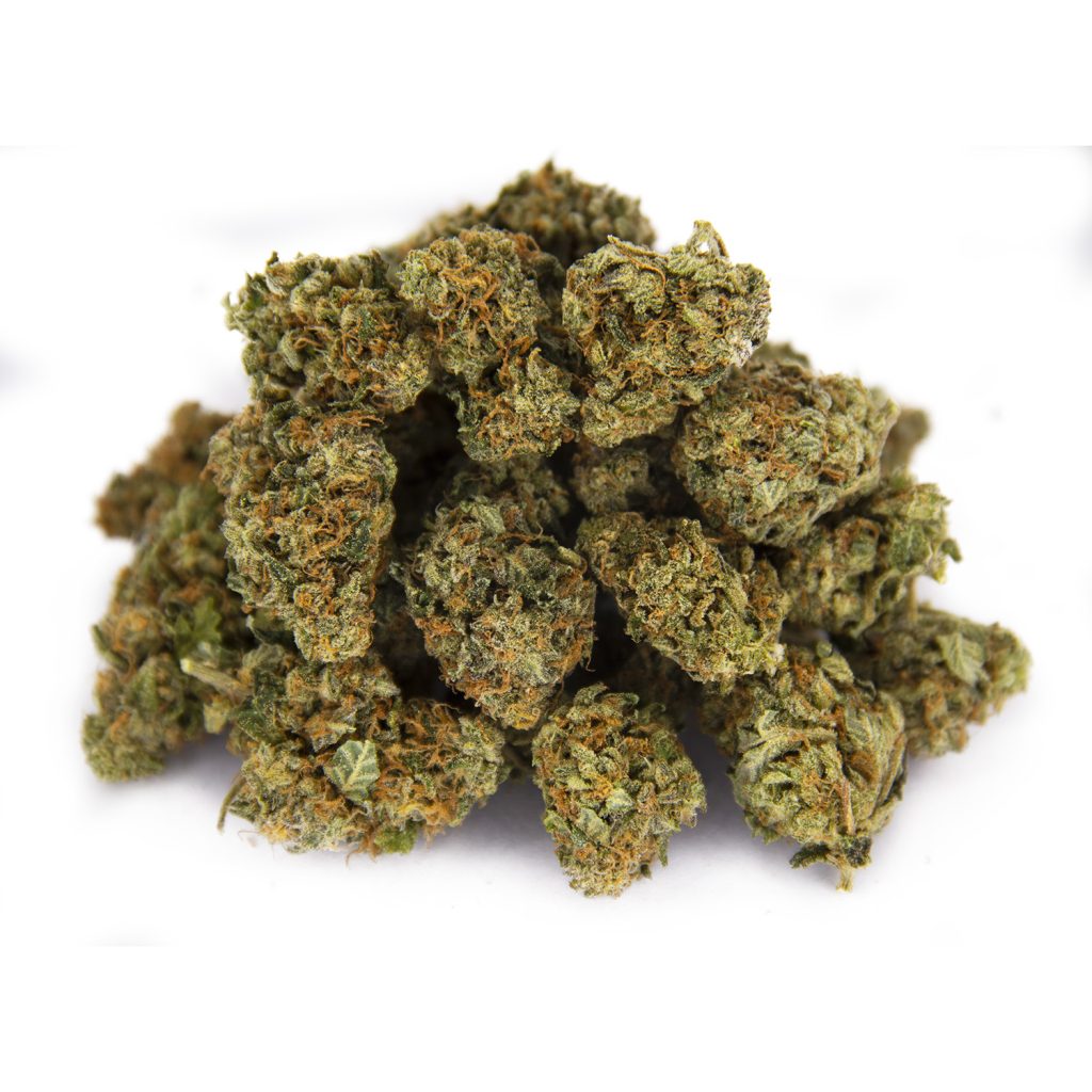 Rocket Chronic