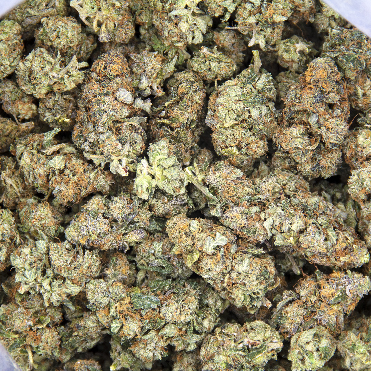Mars OG (smalls) AA - Image 2