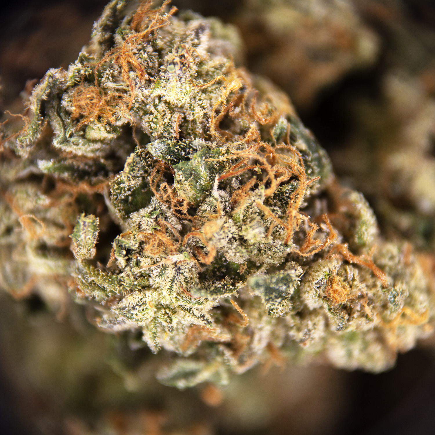 Mars OG (smalls) AA - Image 3
