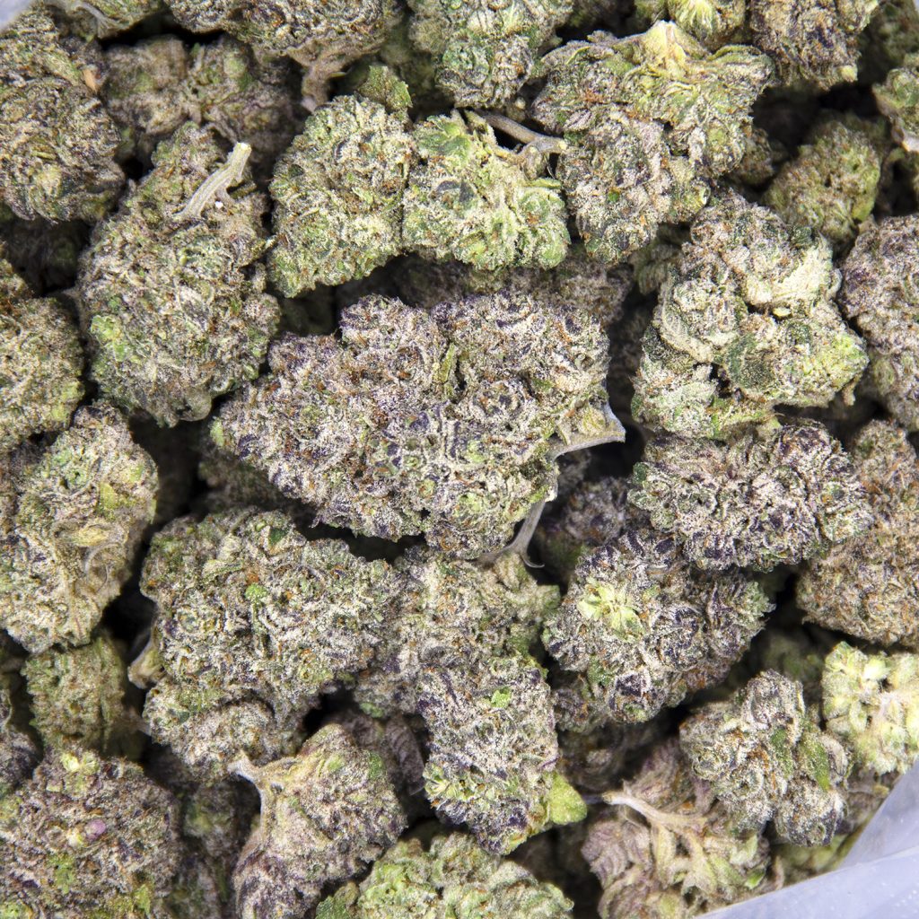 Rocket Chronic