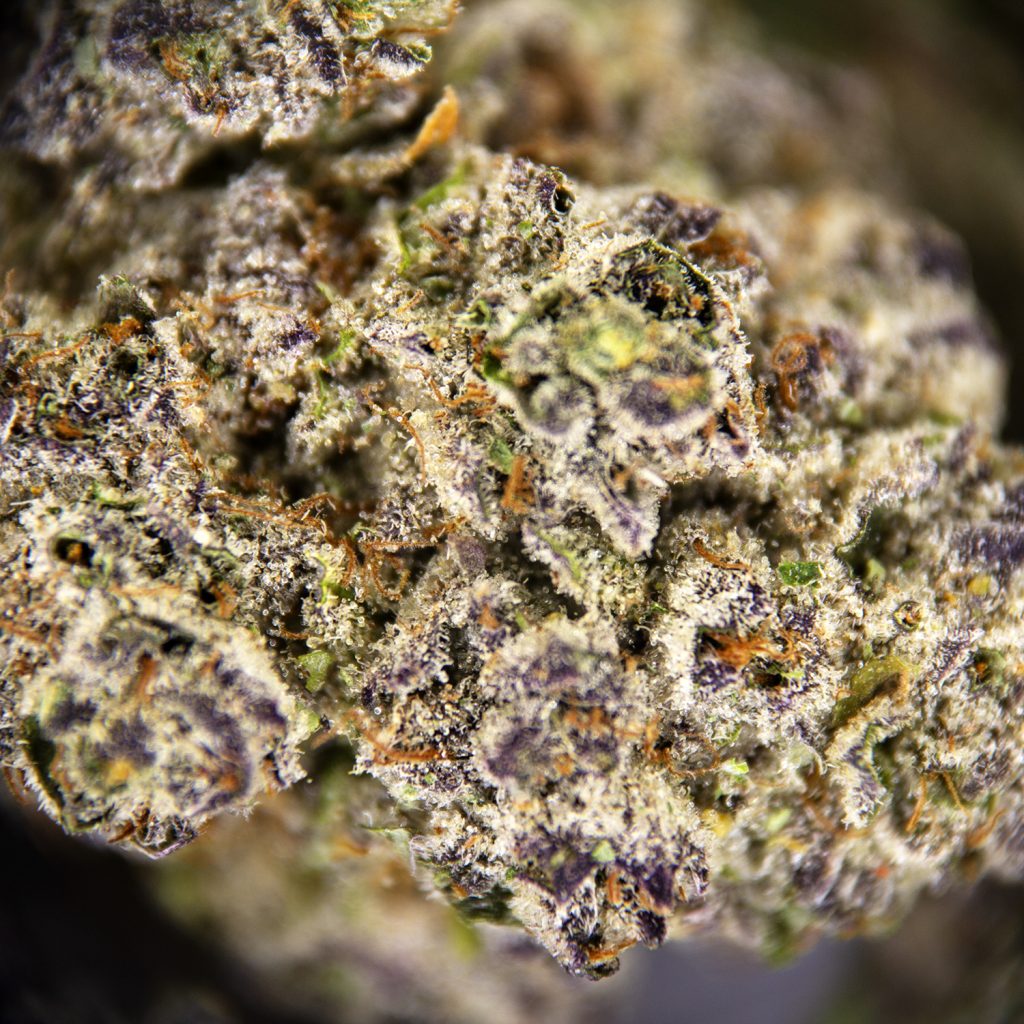 Rocket Chronic