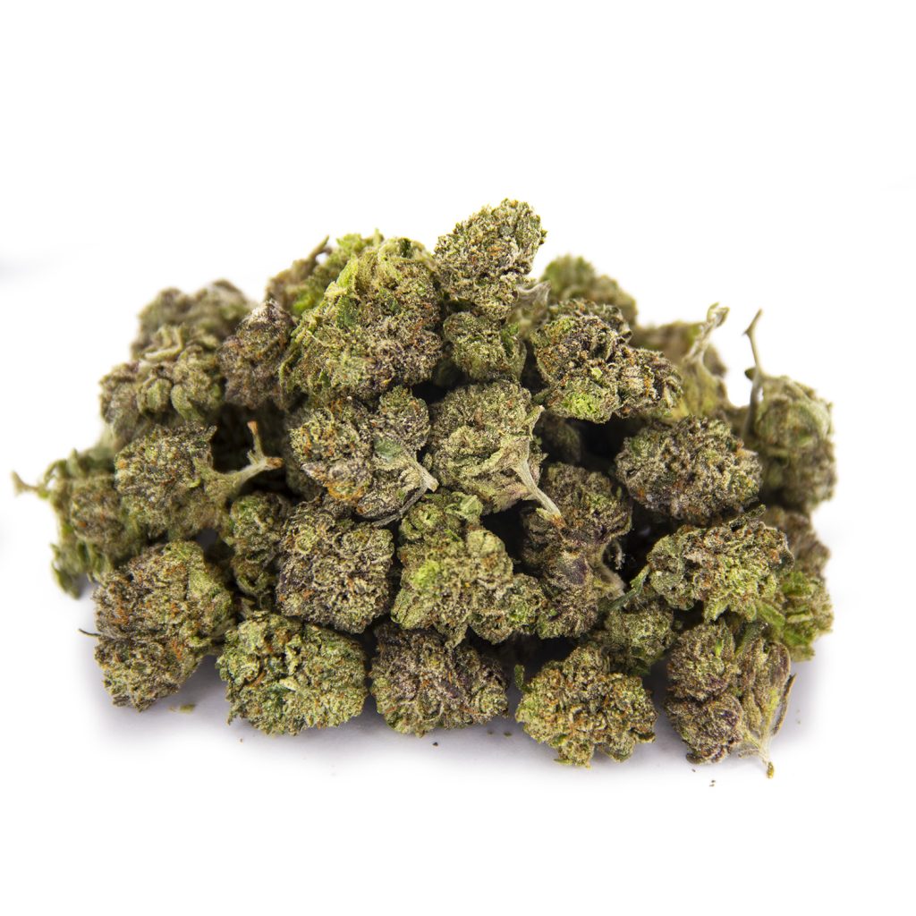 Rocket Chronic