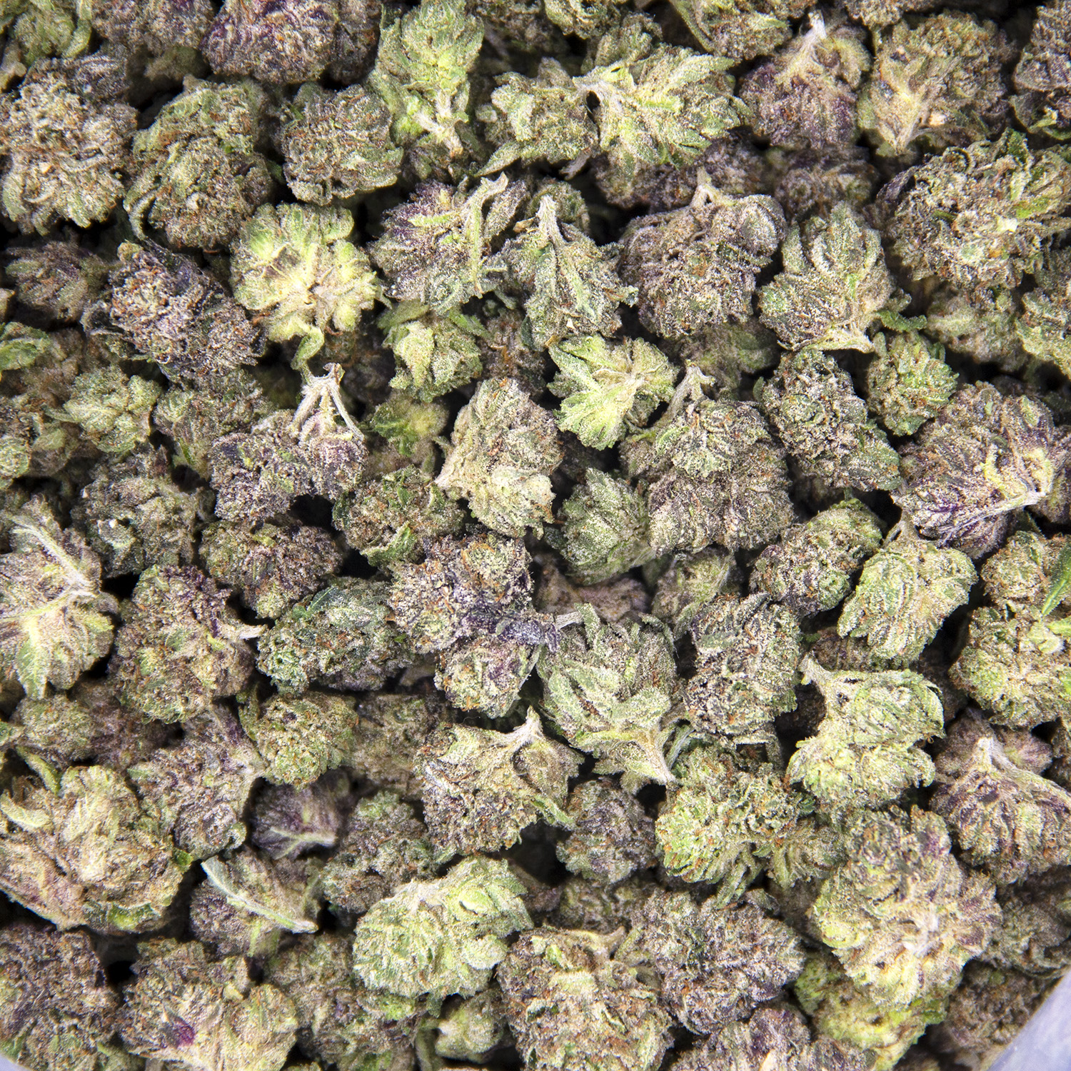 Purple Kush (popcorn) - Image 3