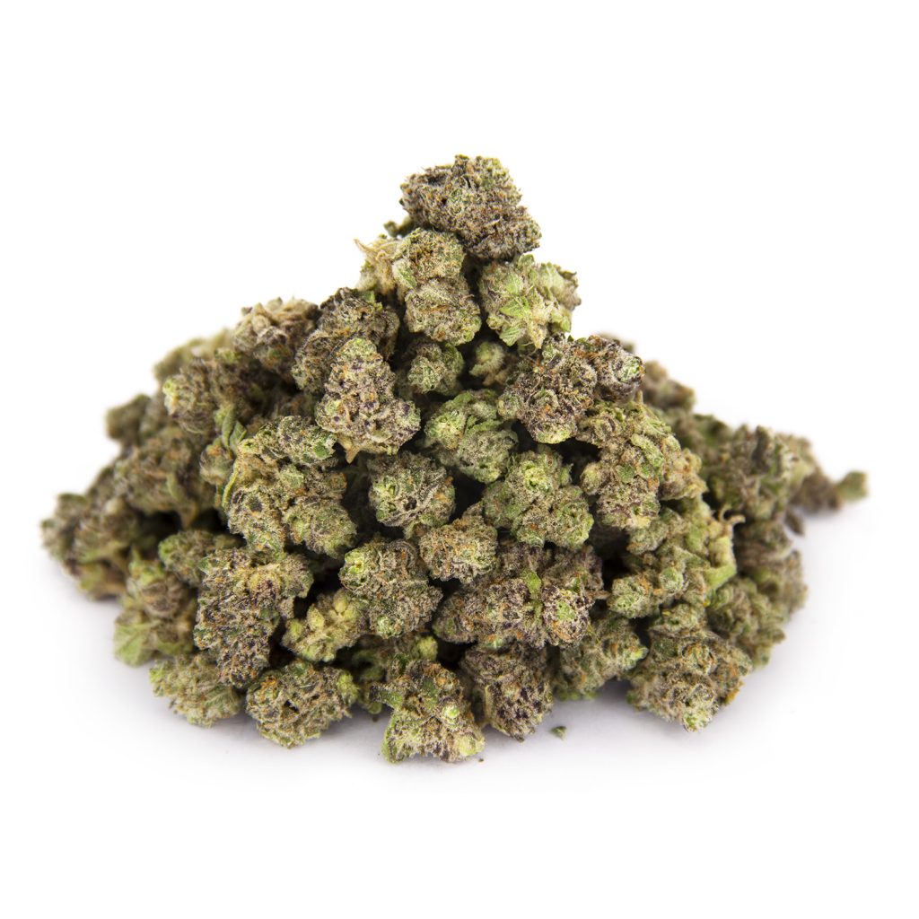 Rocket Chronic