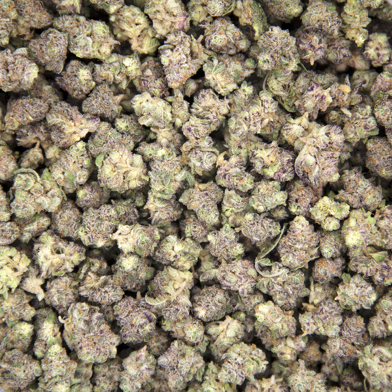 Purple Milk (popcorn) AAA - Image 3