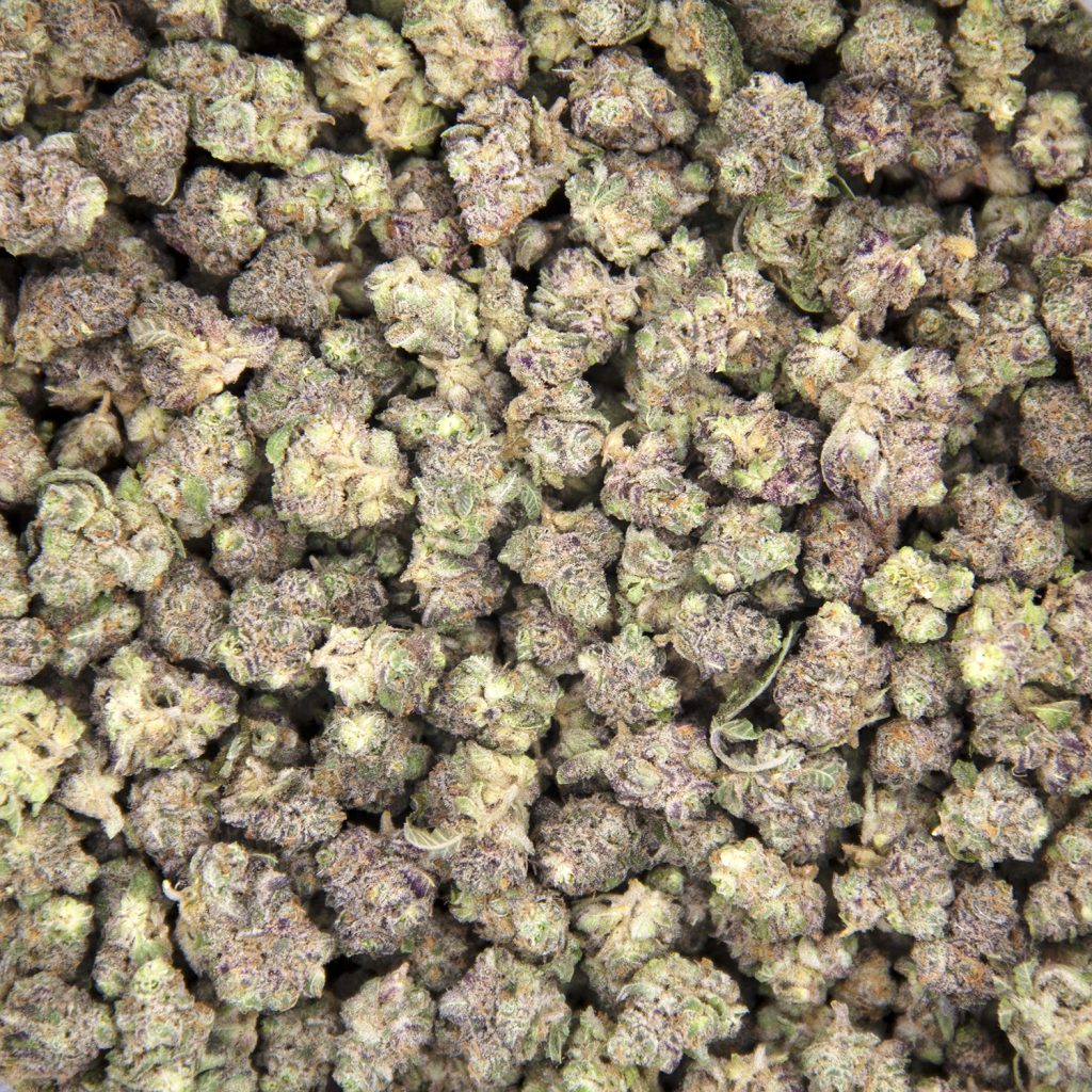 Rocket Chronic