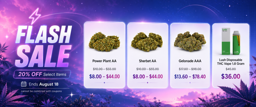 Rocket Chronic