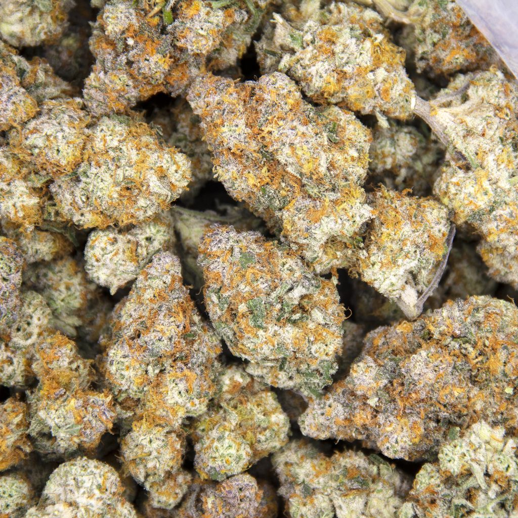 Rocket Chronic