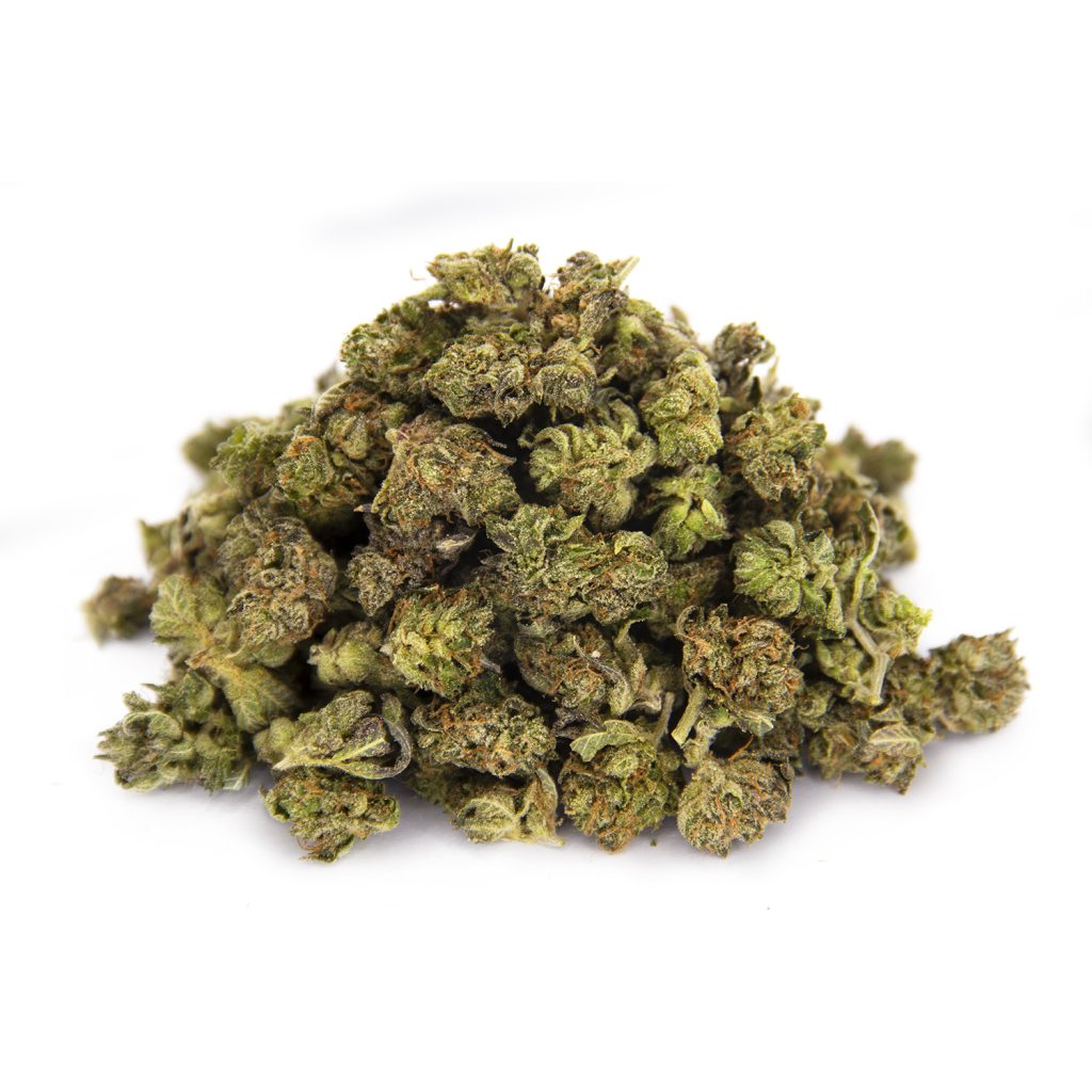 Rocket Chronic