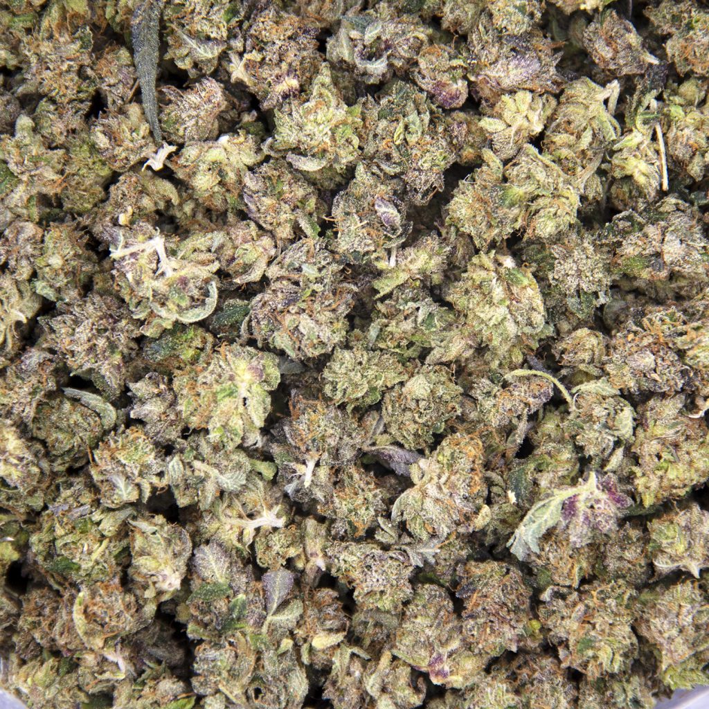 Rocket Chronic