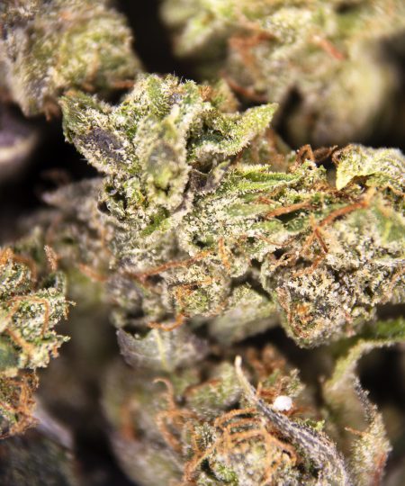 Alternative view of Rockstar Bubba (popcorn) AA