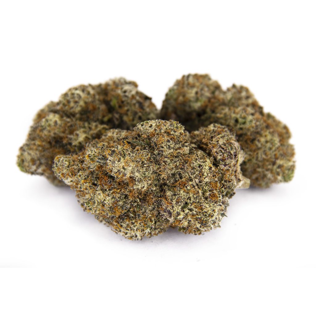 Rocket Chronic