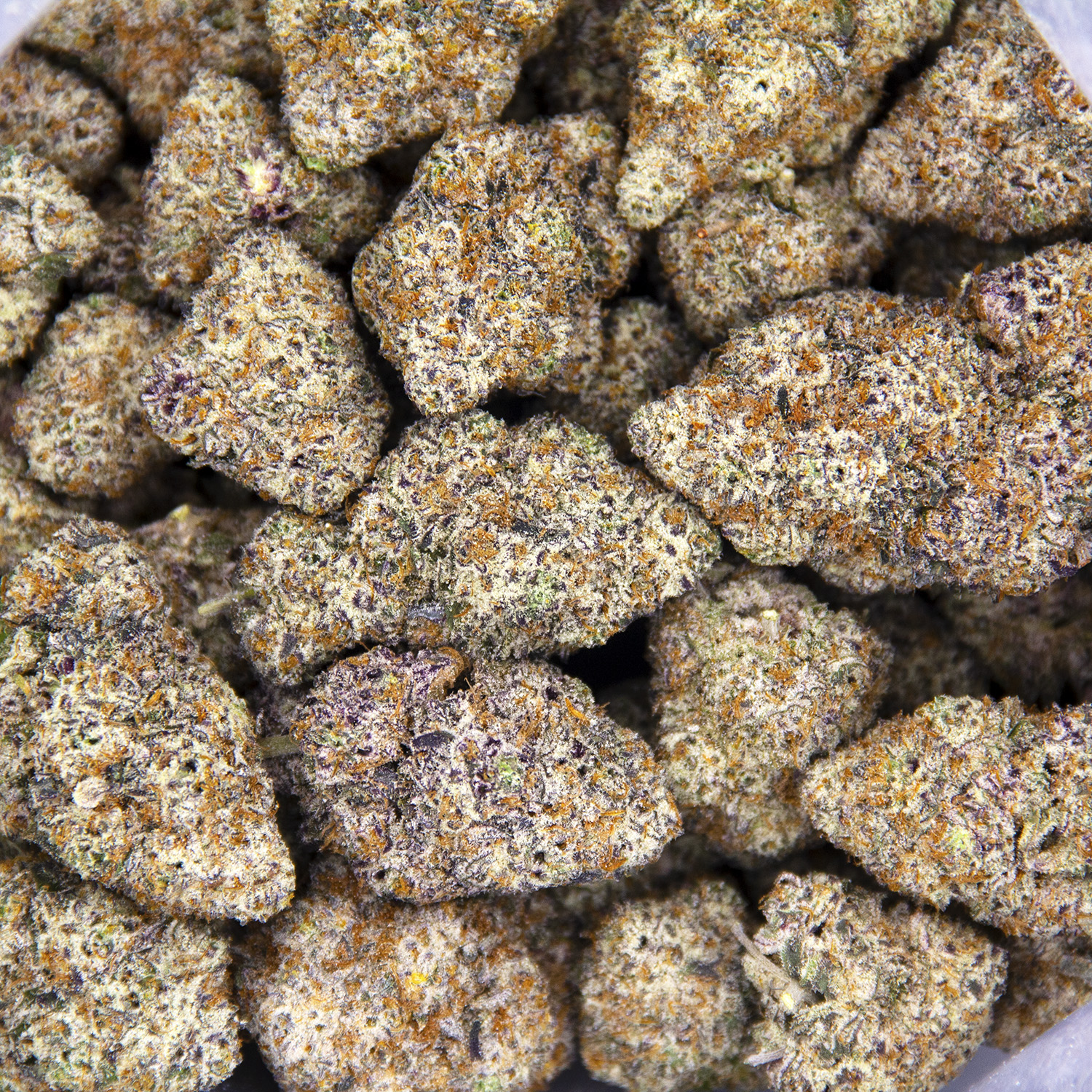 Slurricane AAAA - Image 3