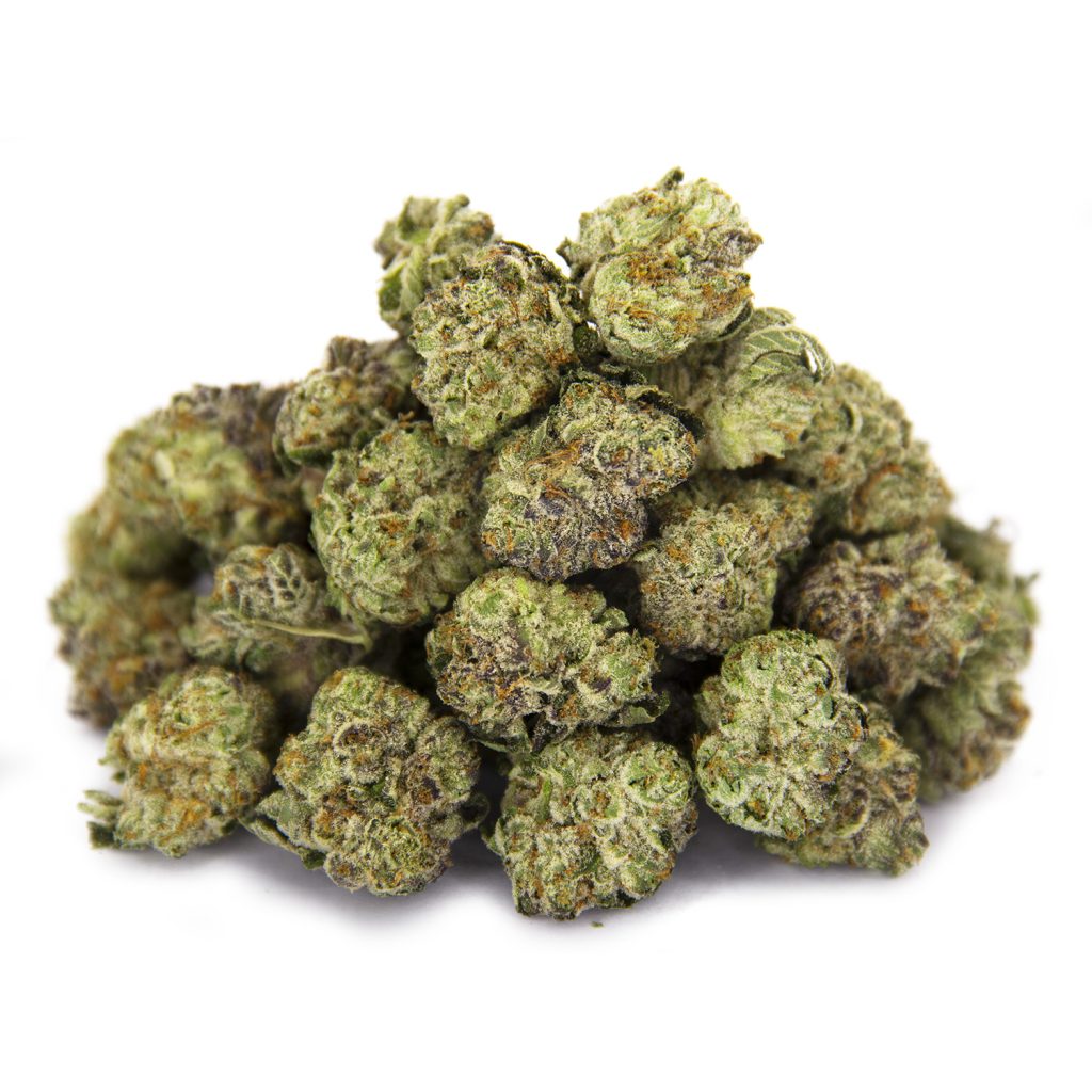 Rocket Chronic