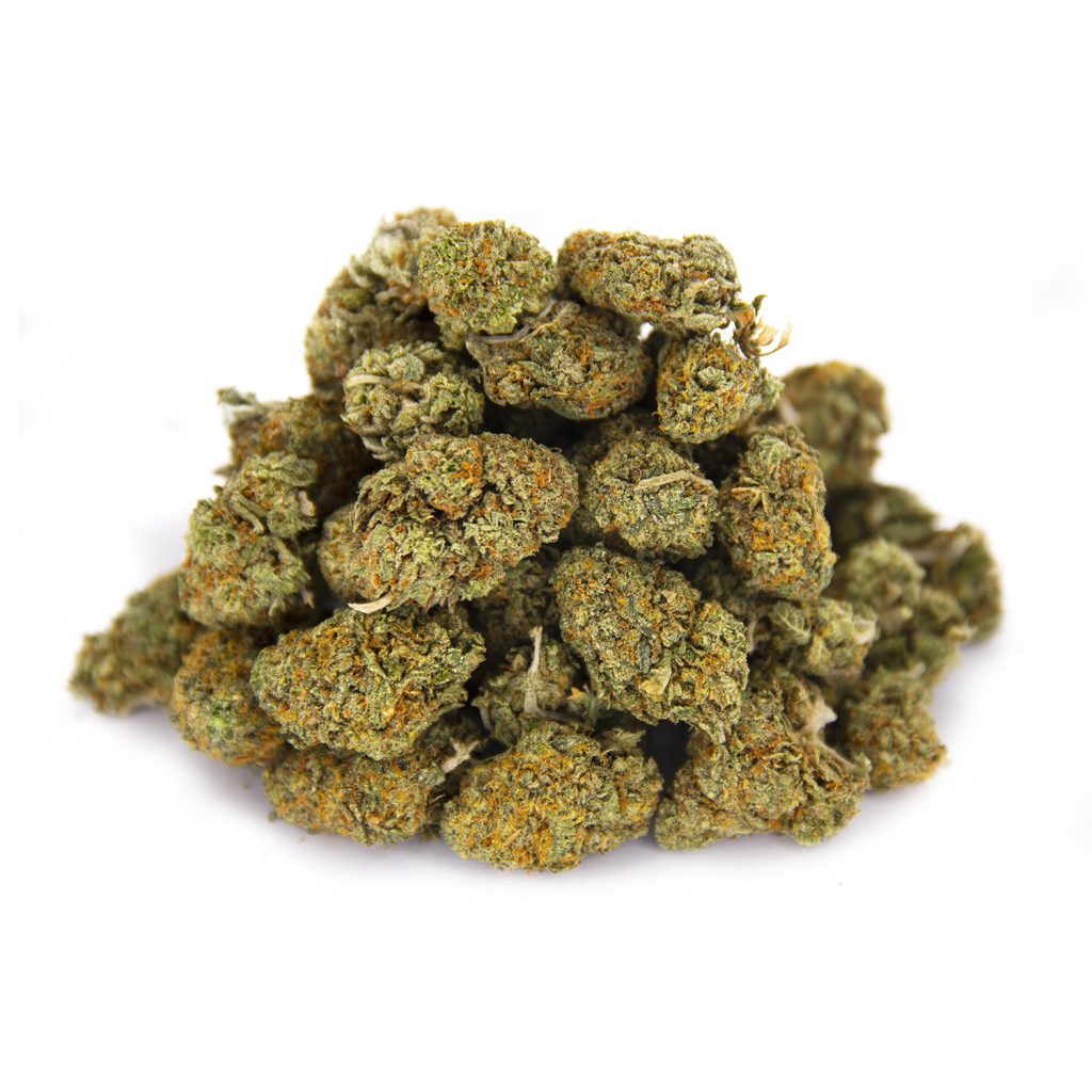Rocket Chronic