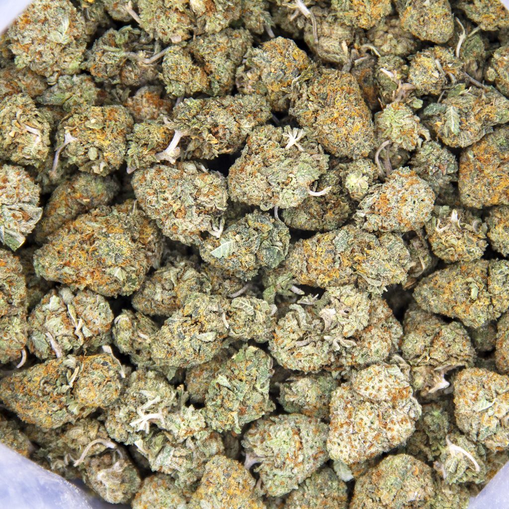 Rocket Chronic