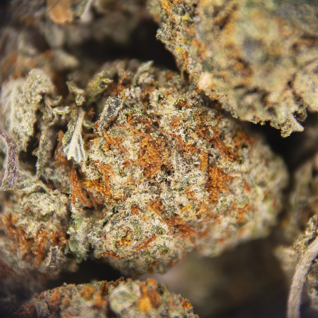 Rocket Chronic