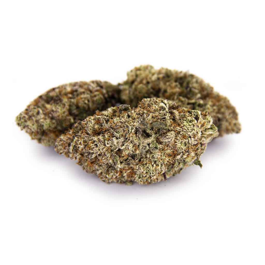 Rocket Chronic