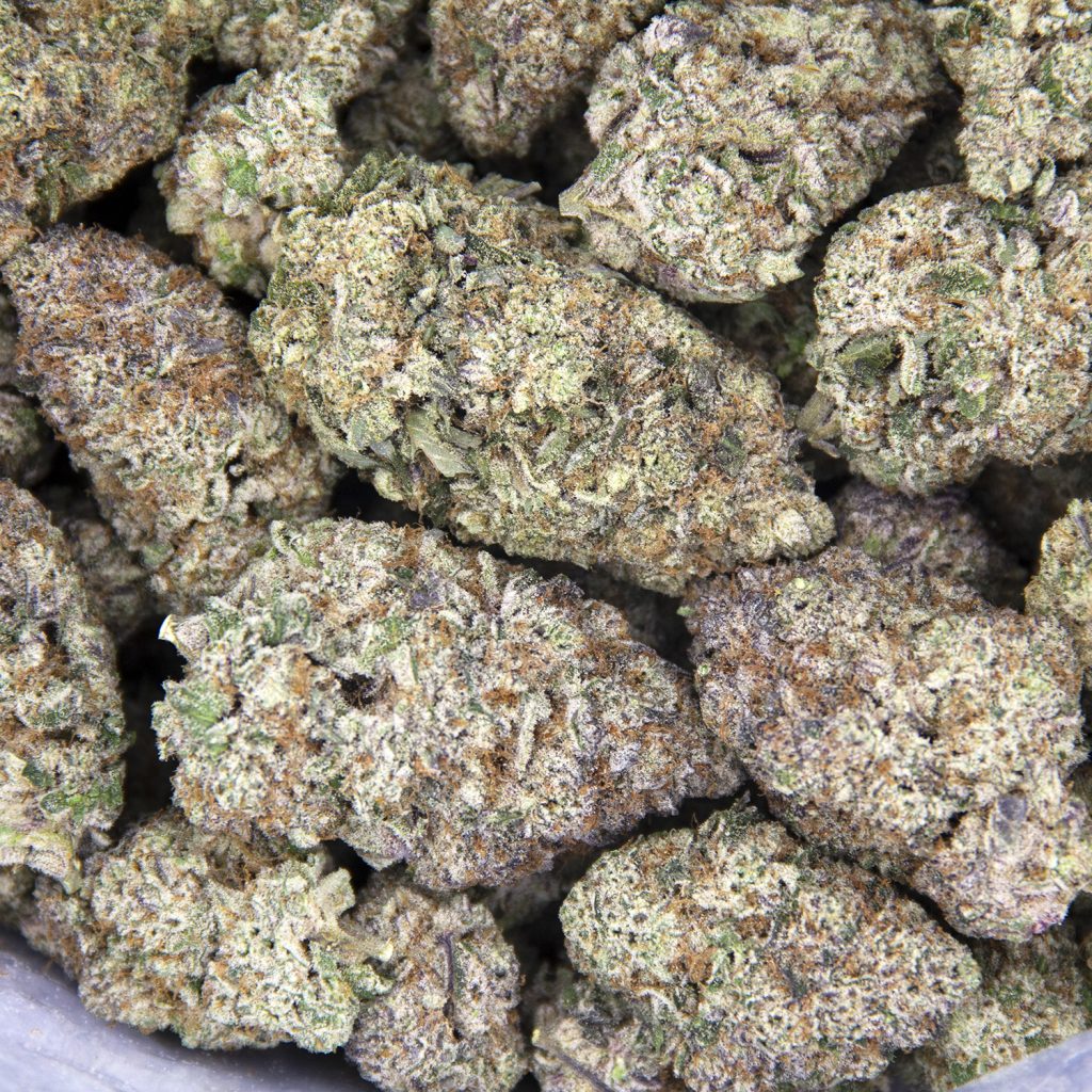 Rocket Chronic