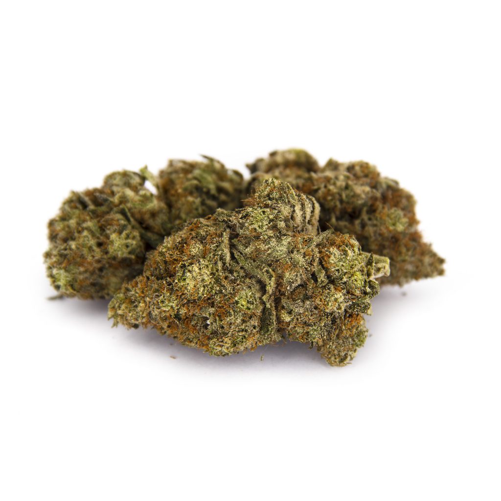 Rocket Chronic