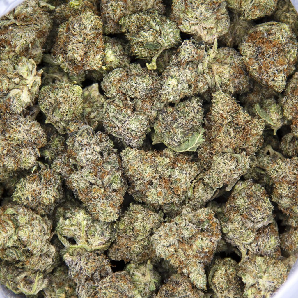 Rocket Chronic