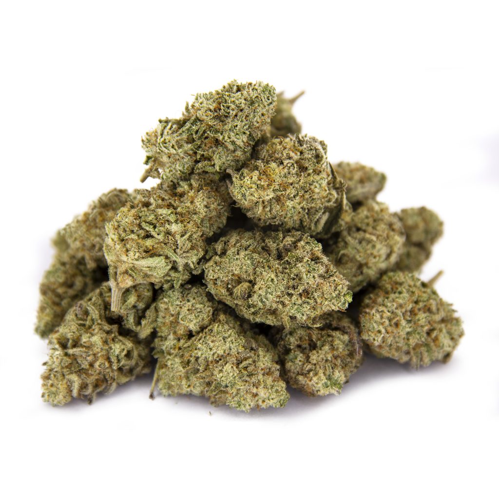 Rocket Chronic