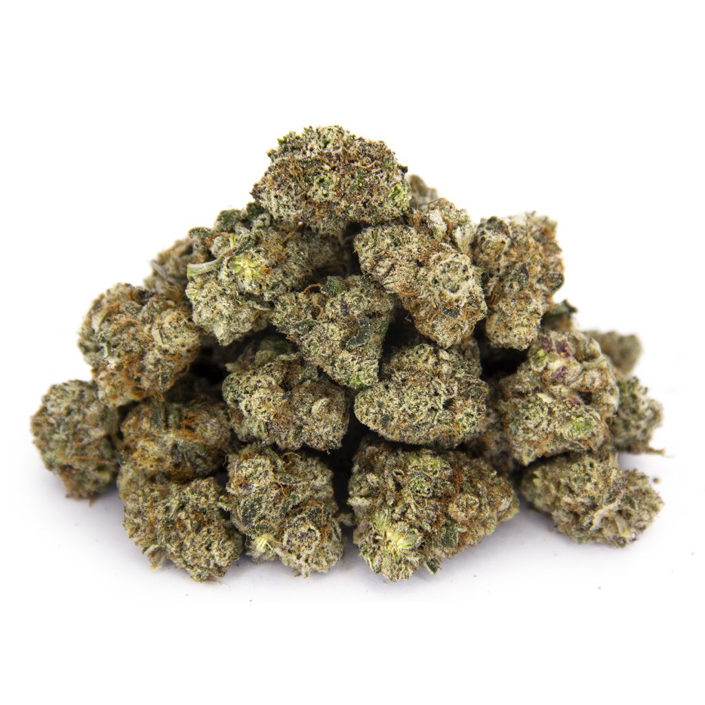 Rocket Chronic