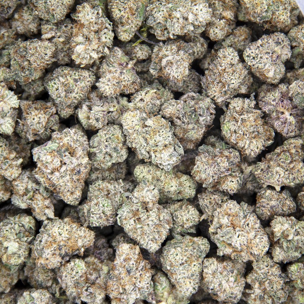 Rocket Chronic
