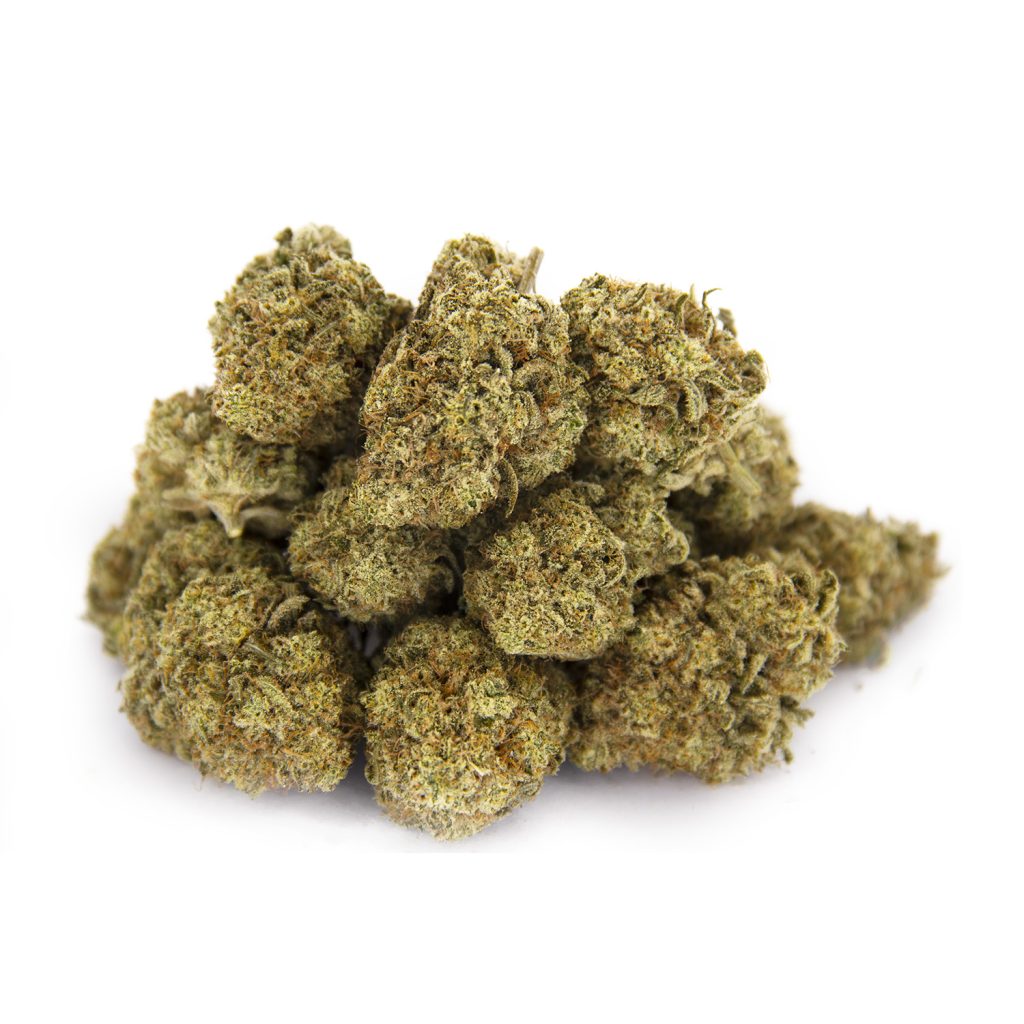Rocket Chronic