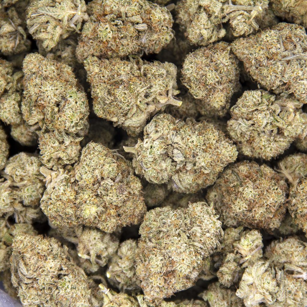 Rocket Chronic