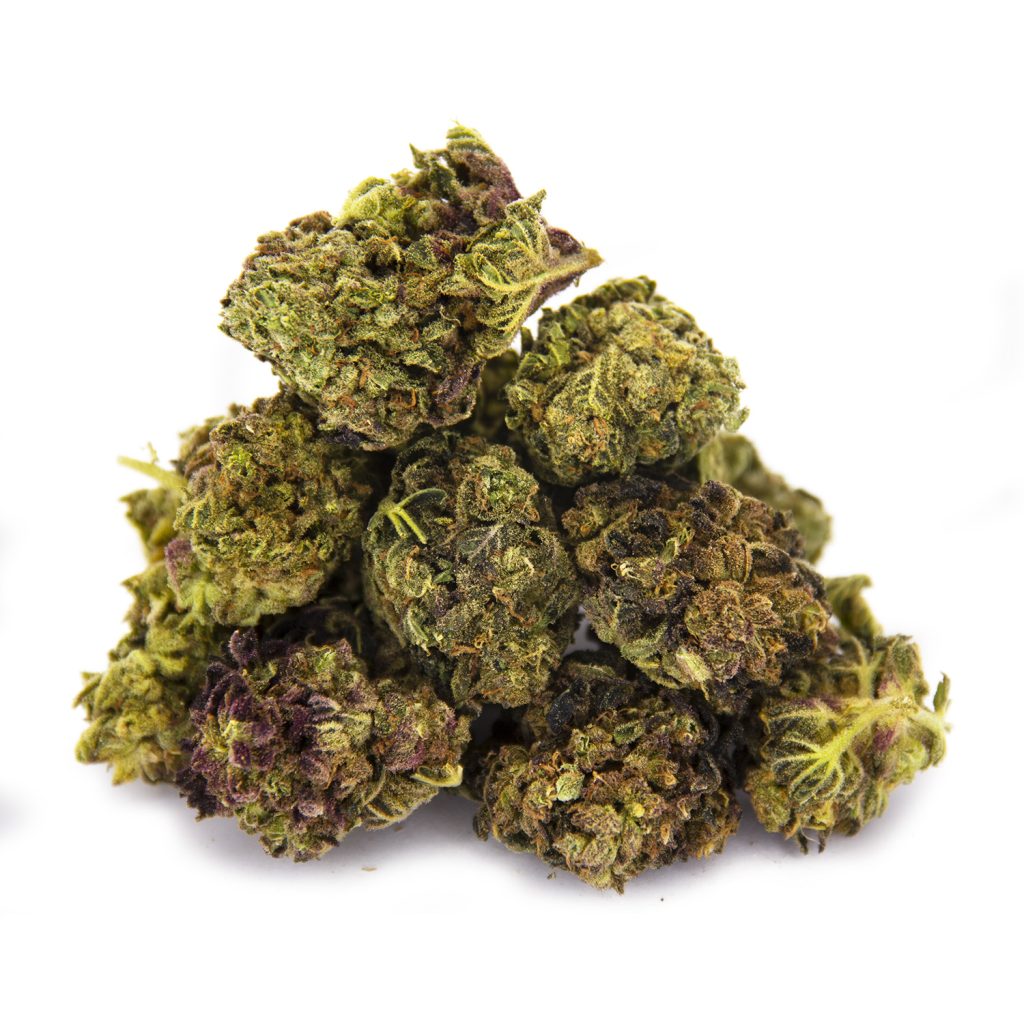 Rocket Chronic