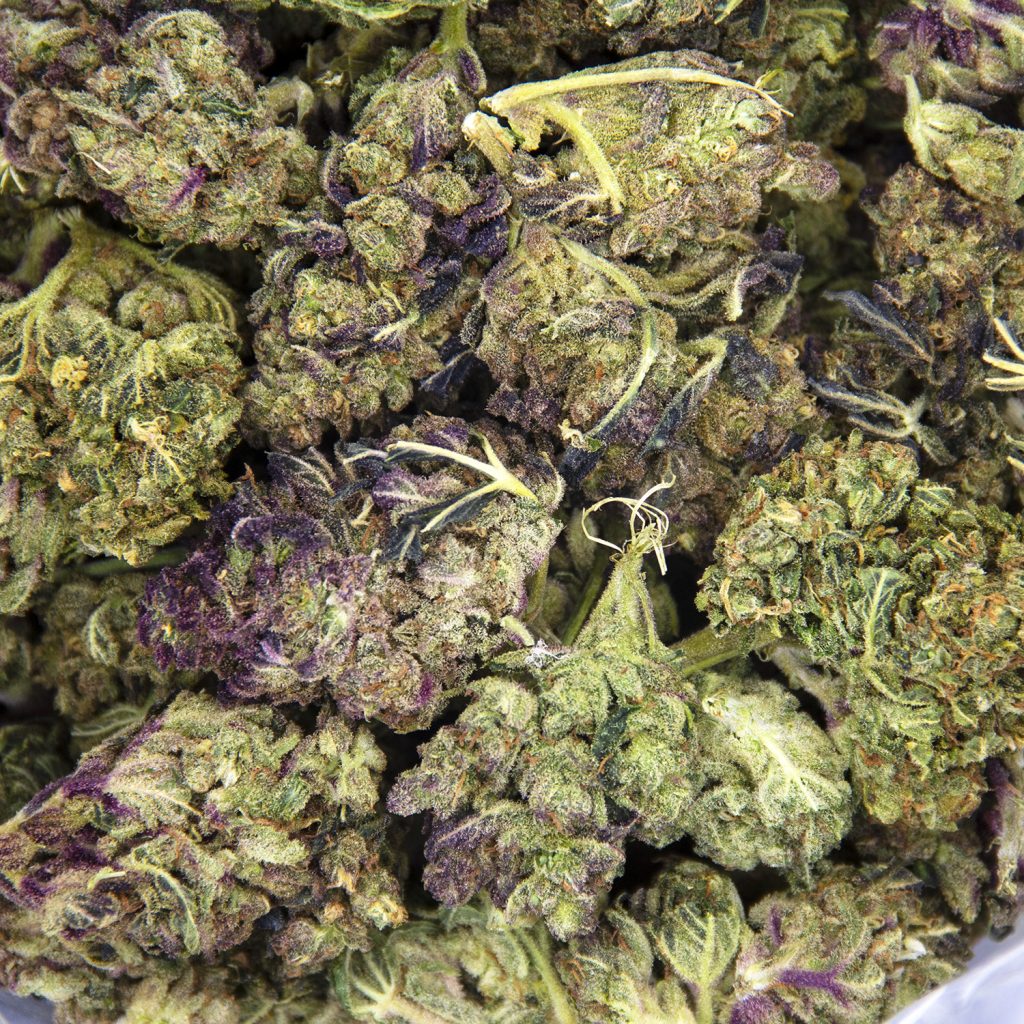 Rocket Chronic