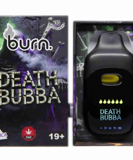 Burn Disposable - 3 Gram Vapes