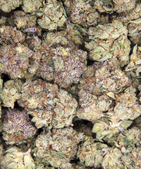 Alternative view of Afghan Goo (mediums) AAA