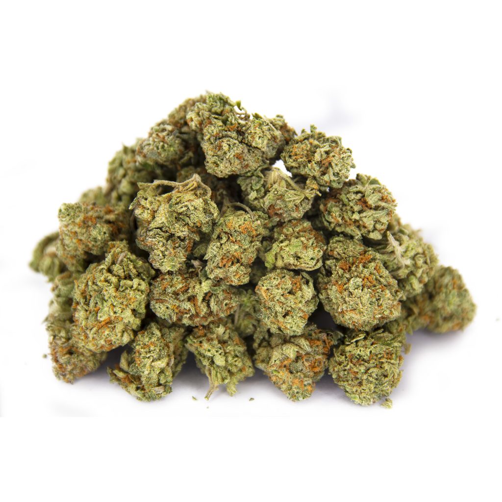 Rocket Chronic