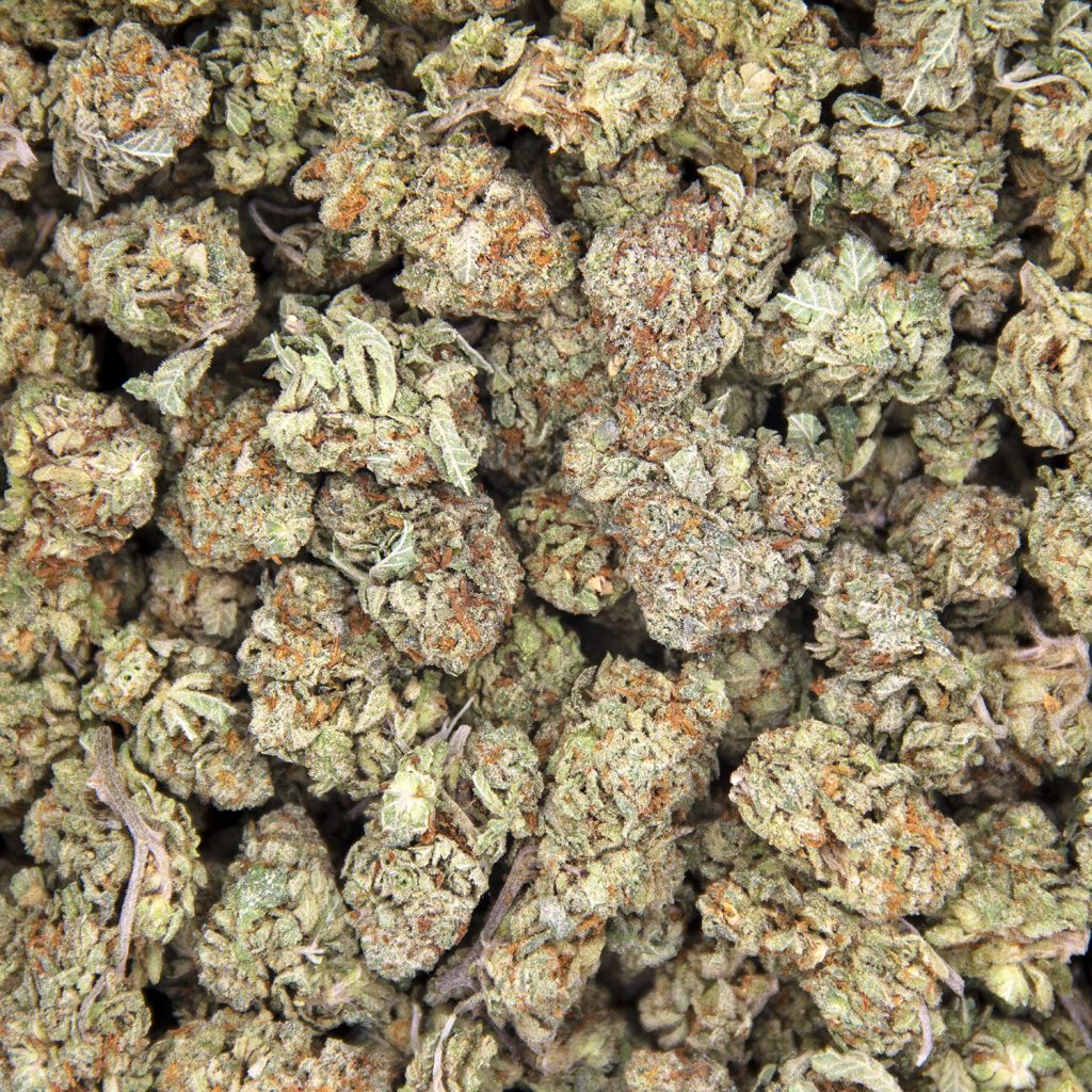 Rocket Chronic
