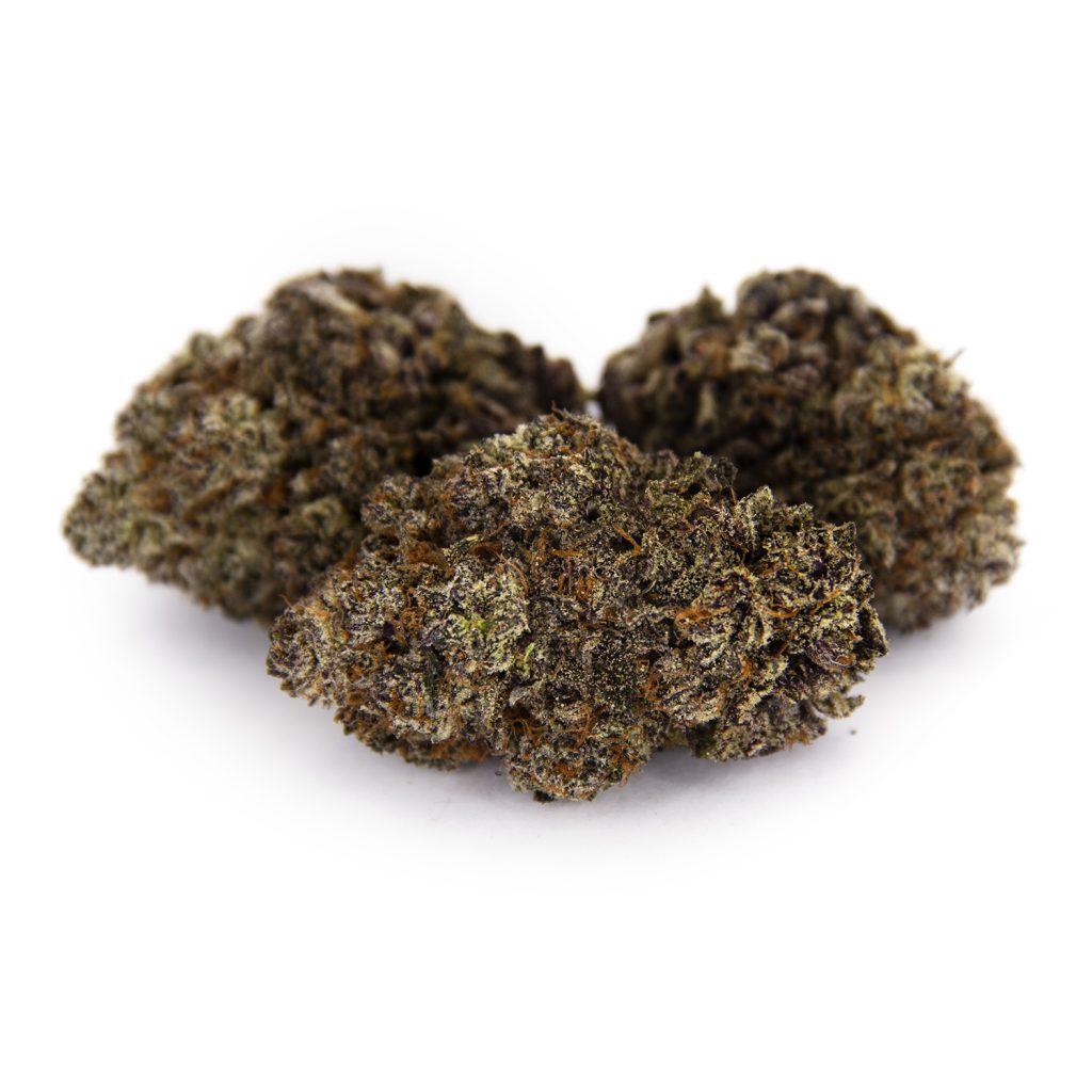 Rocket Chronic